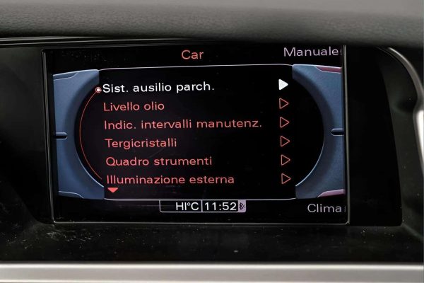 Audi A4 Allroad - Image 20